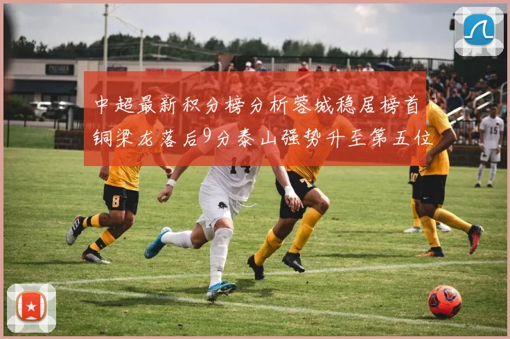 中超最新积分榜分析蓉城稳居榜首铜梁龙落后9分泰山强势升至第五位津门虎积分清零