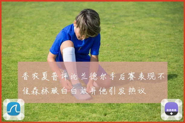 香农夏普评论兰德尔季后赛表现不佳森林狼白白放弃他引发热议